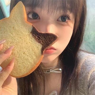追爱家族