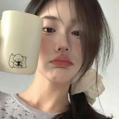 侠盗正传