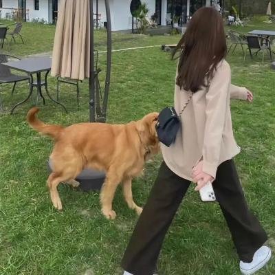 妖物